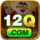 12q Official v3.2.4